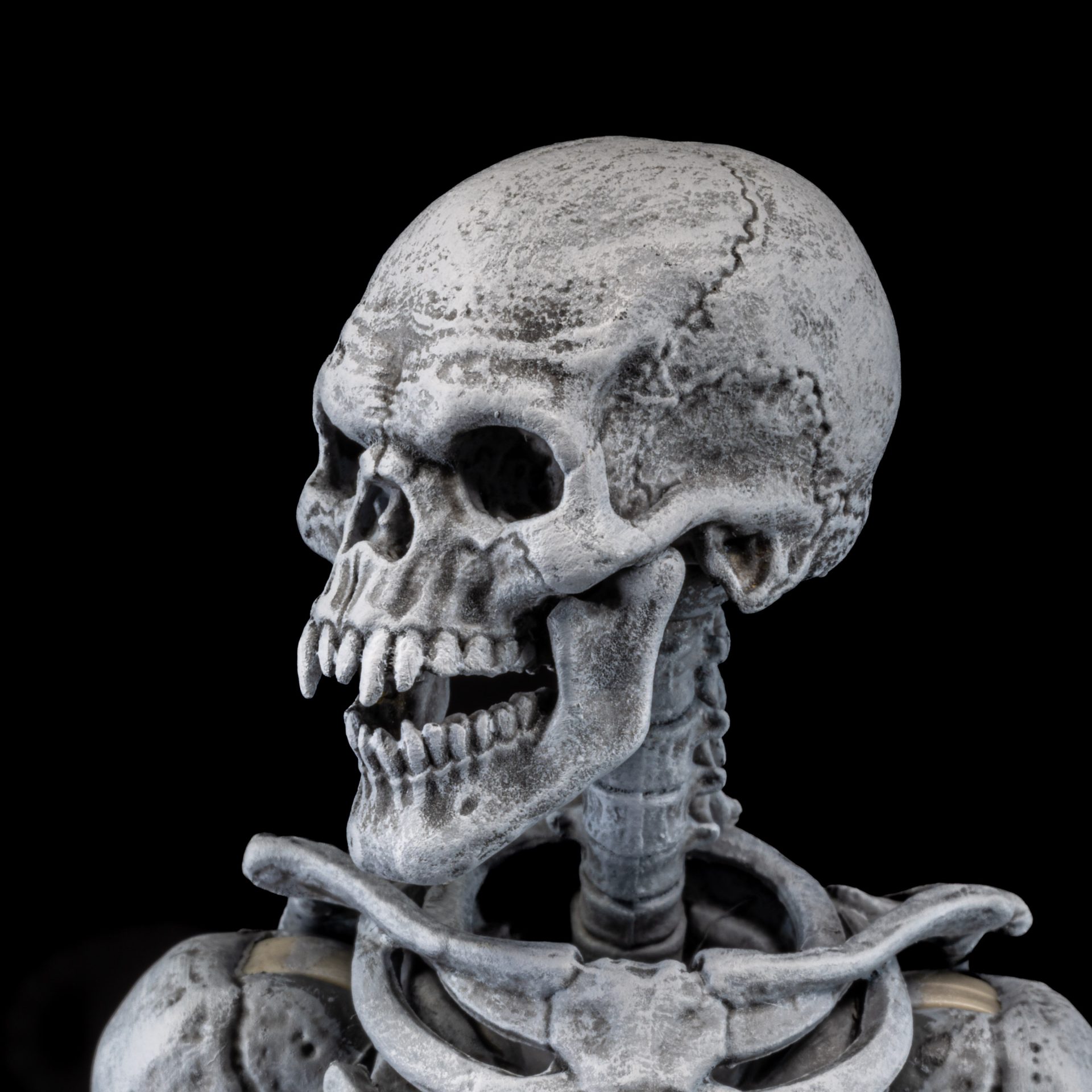 Mythic Legions Graveyard Skeletons 4-Pack – Project Action Figure